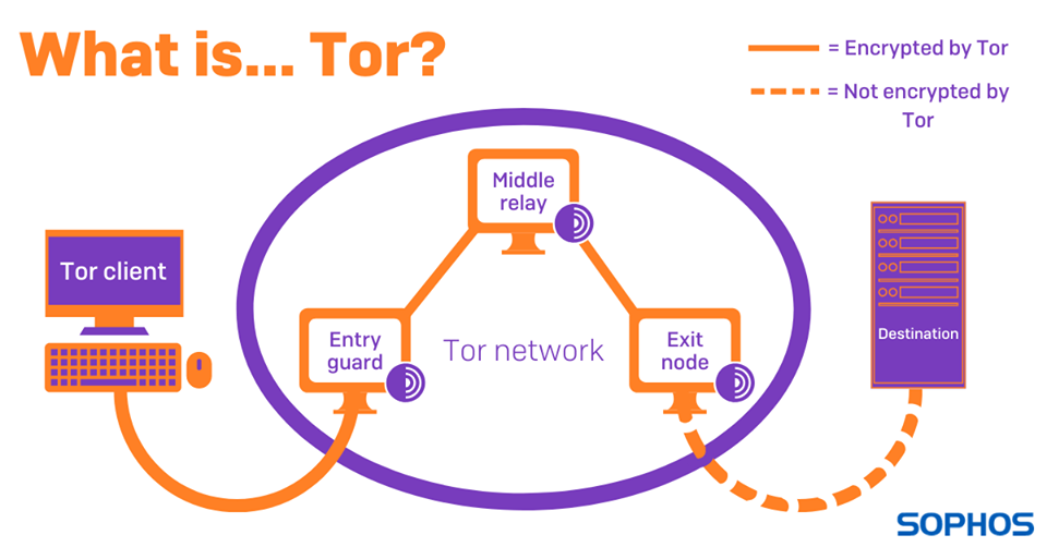 Read more about the article Trình duyệt Tor là gì?