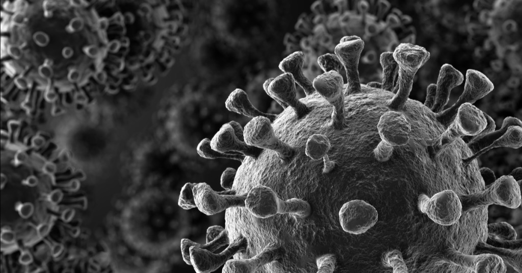 Read more about the article Hướng dẫn bảo vệ an toàn mạng trong mùa dịch virus Corona